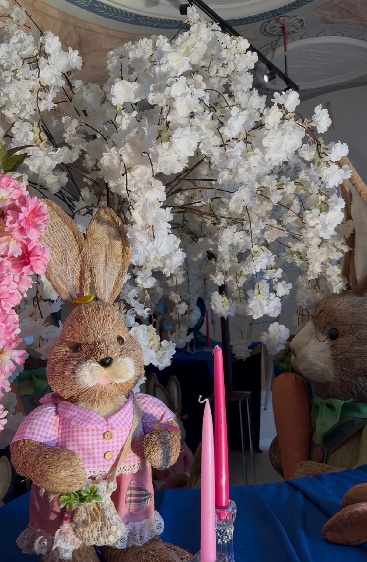 Kirschbaum Sakura 140x150cm