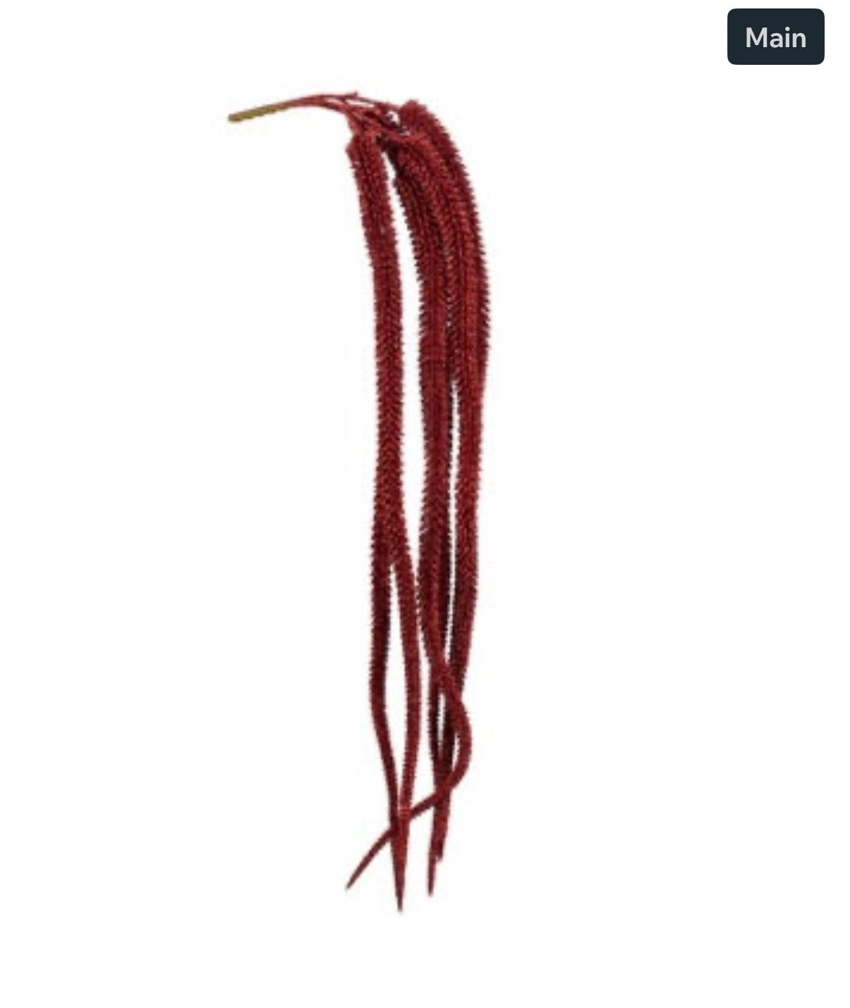 amaranthus 80cm