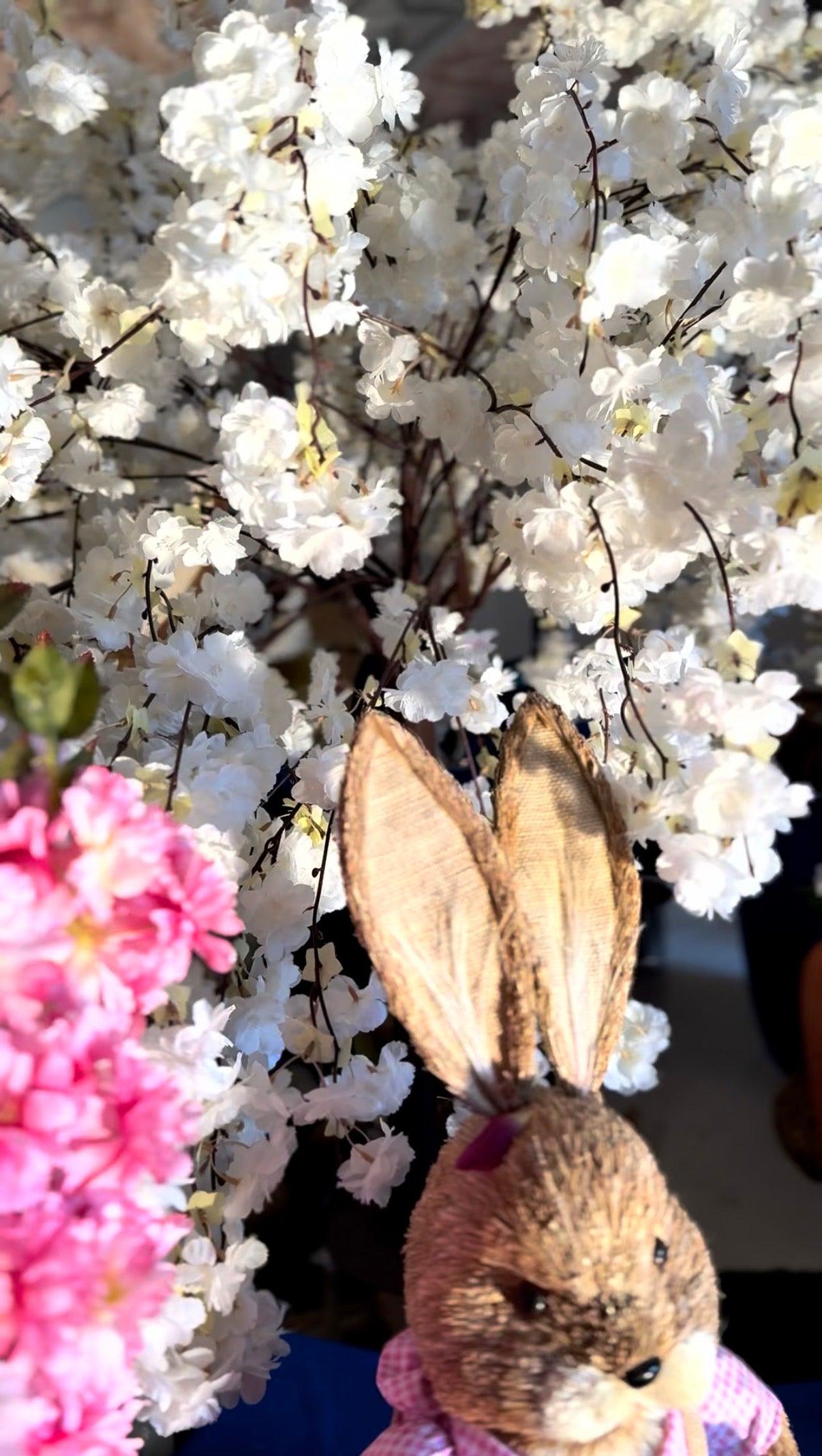 Kirschbaum Sakura 140x150cm