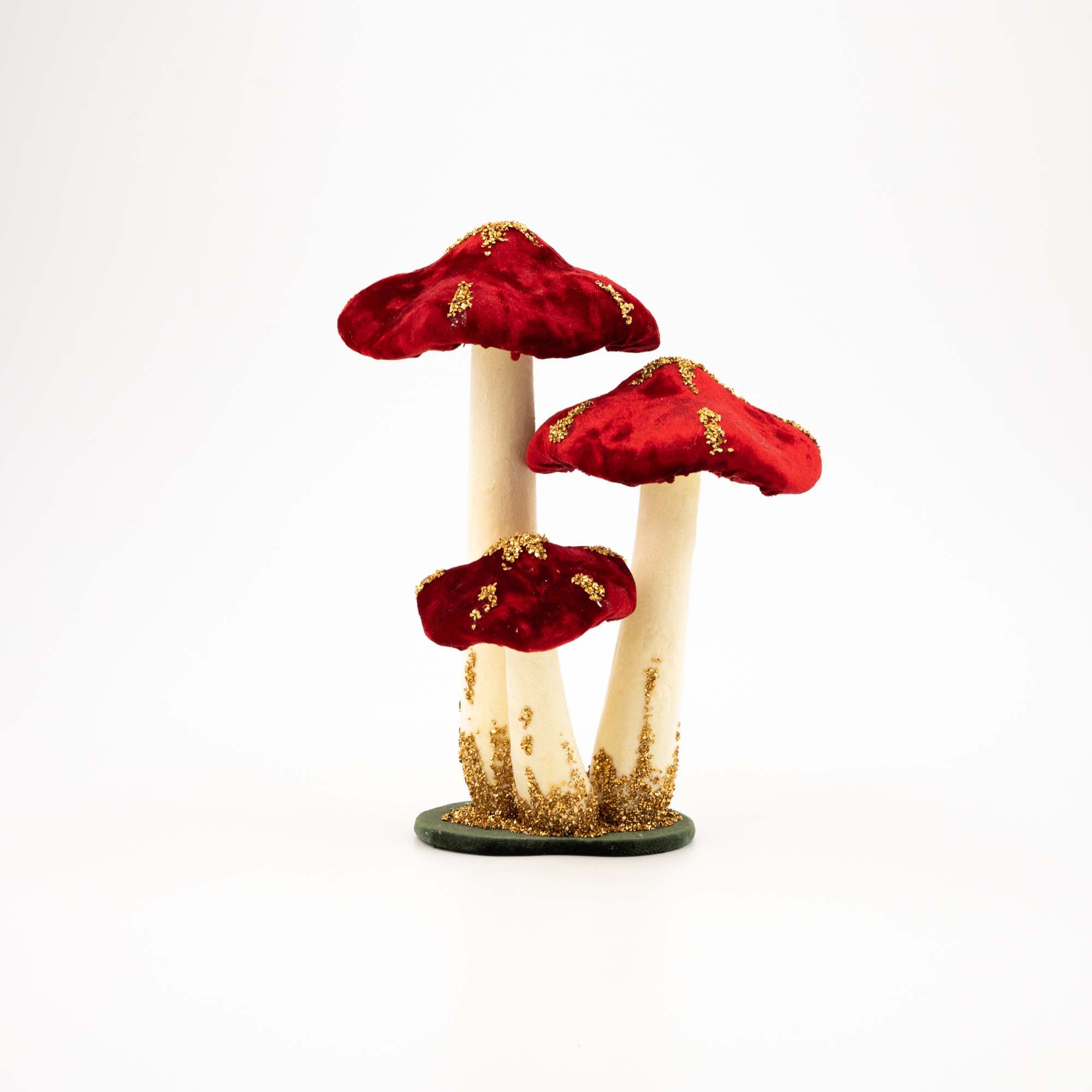 Pilz 26cm
